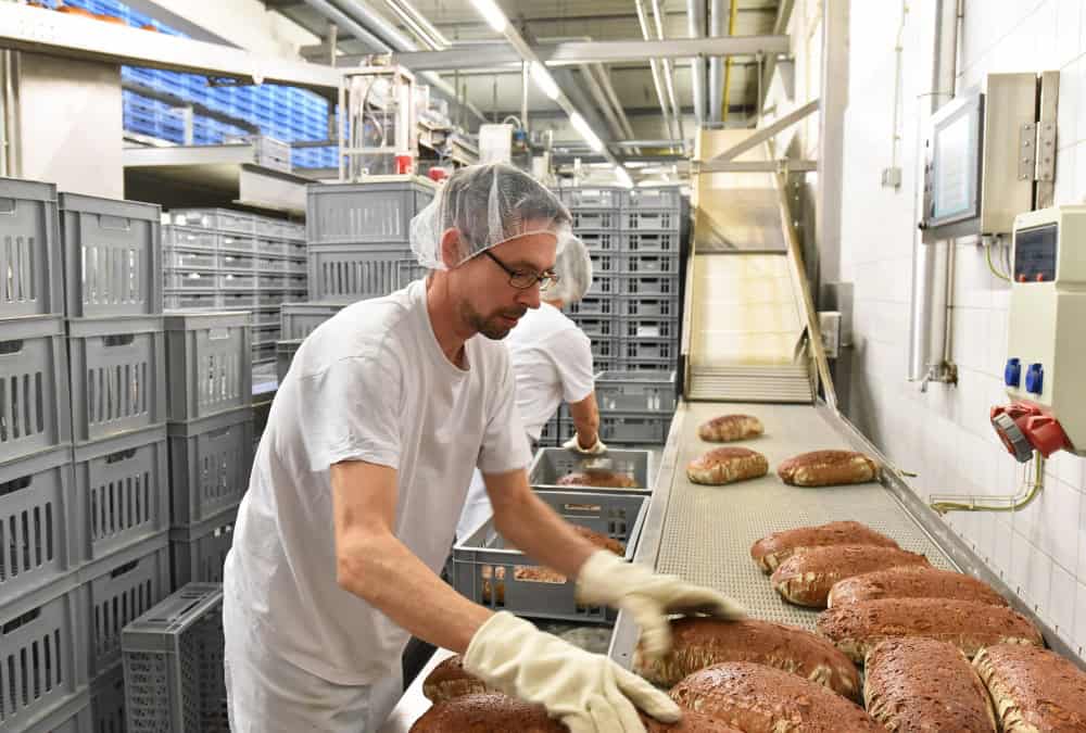 Bakery line automation (2)